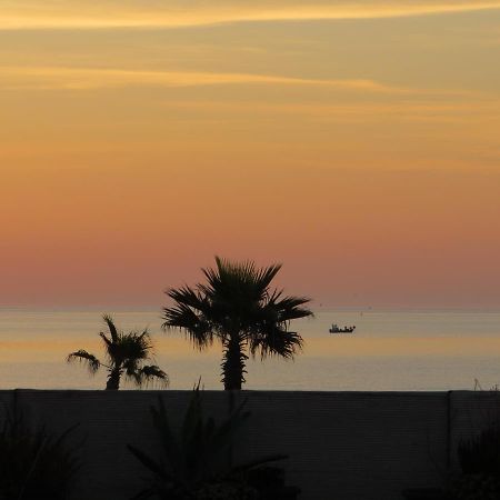 Ground Floor Studio With Access To Beach And Pool Le Barcarès Esterno foto